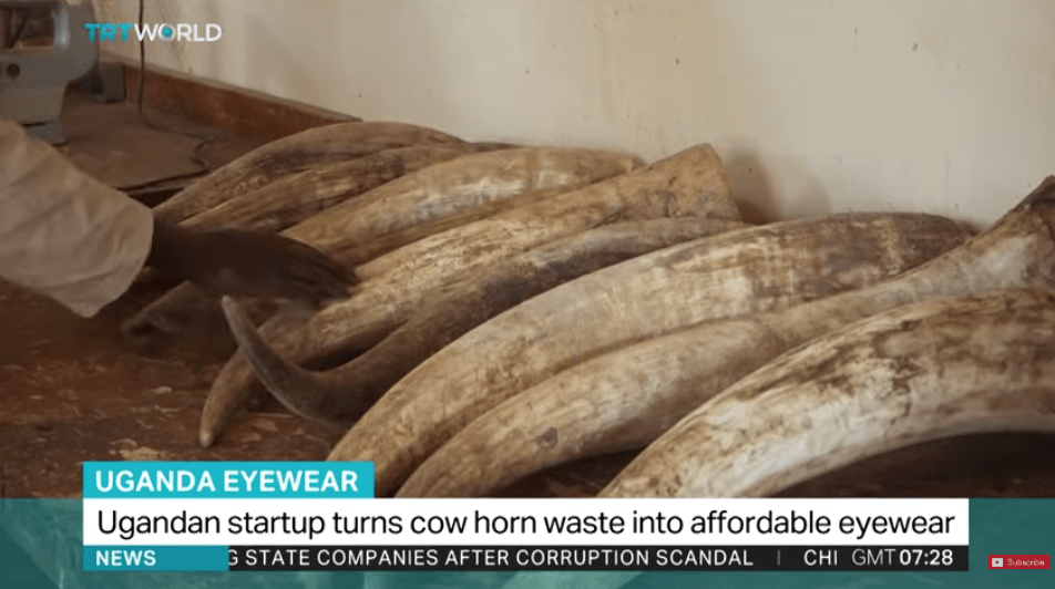 Ugandan start-up turns cow horn waste into affordable eyewear